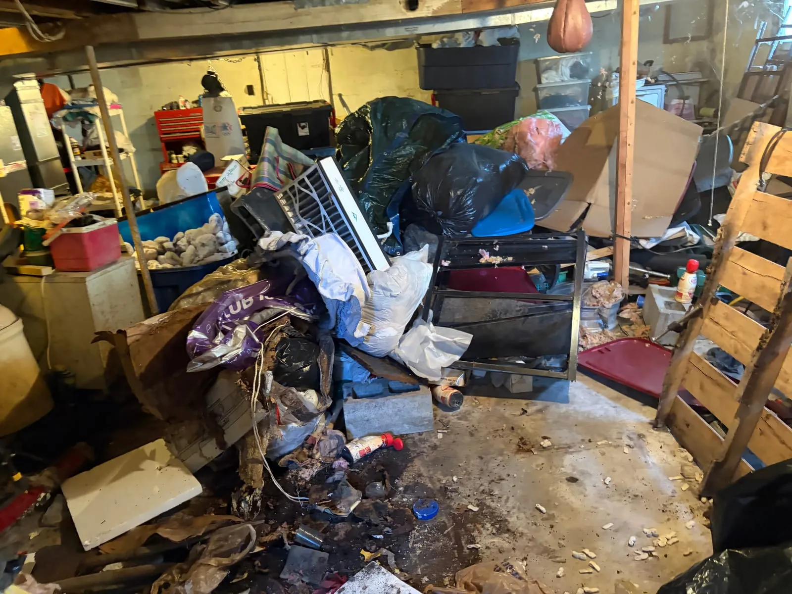 Basement crammed floor to ceiling with stored boxes and junk