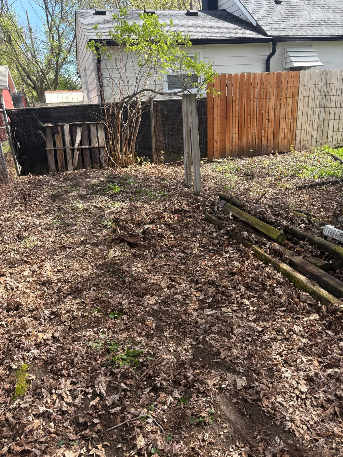 The same fence line cleared back to bare, mulched ground