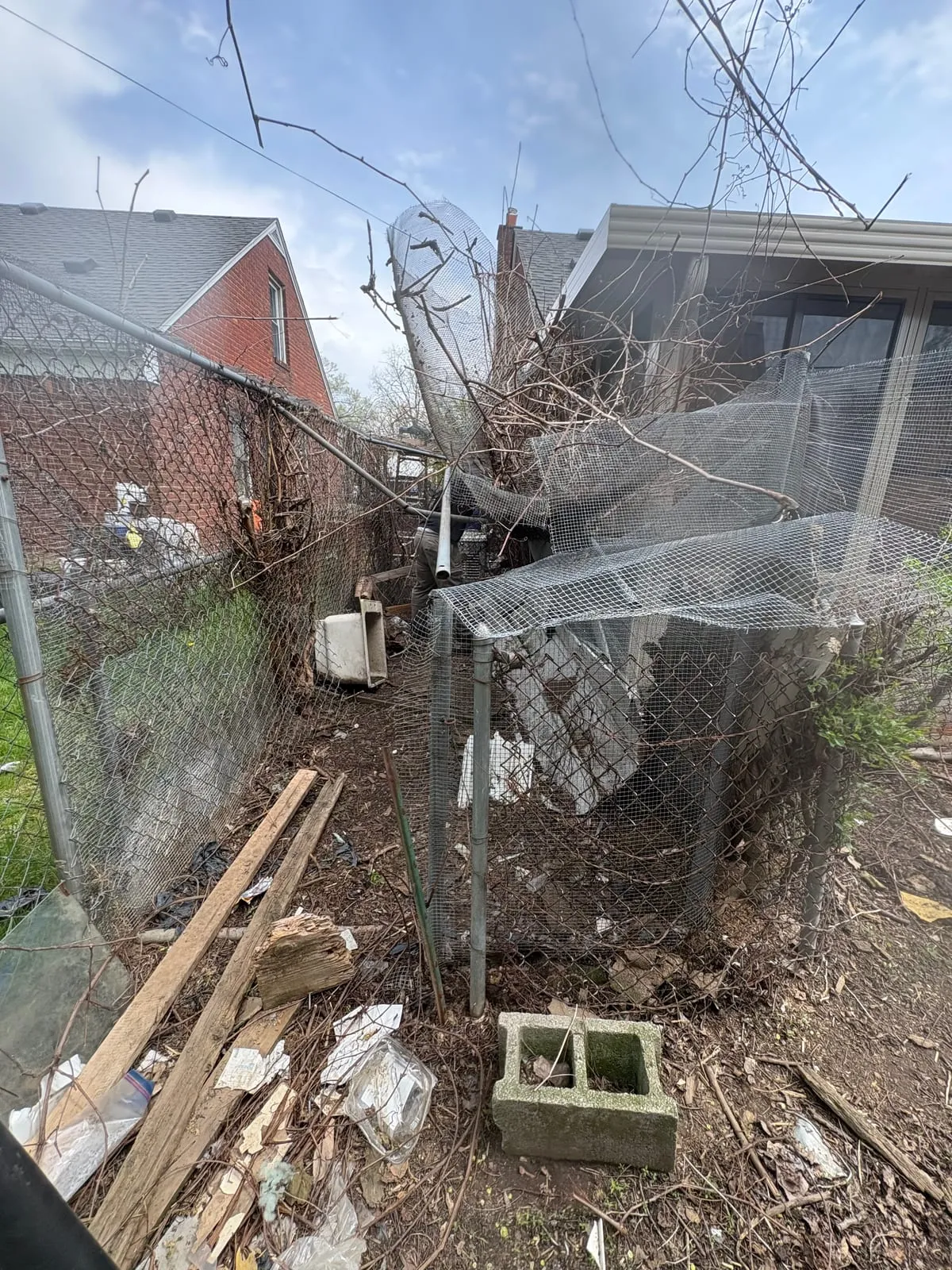 Fence line buried in weeds, brush, and scattered debris