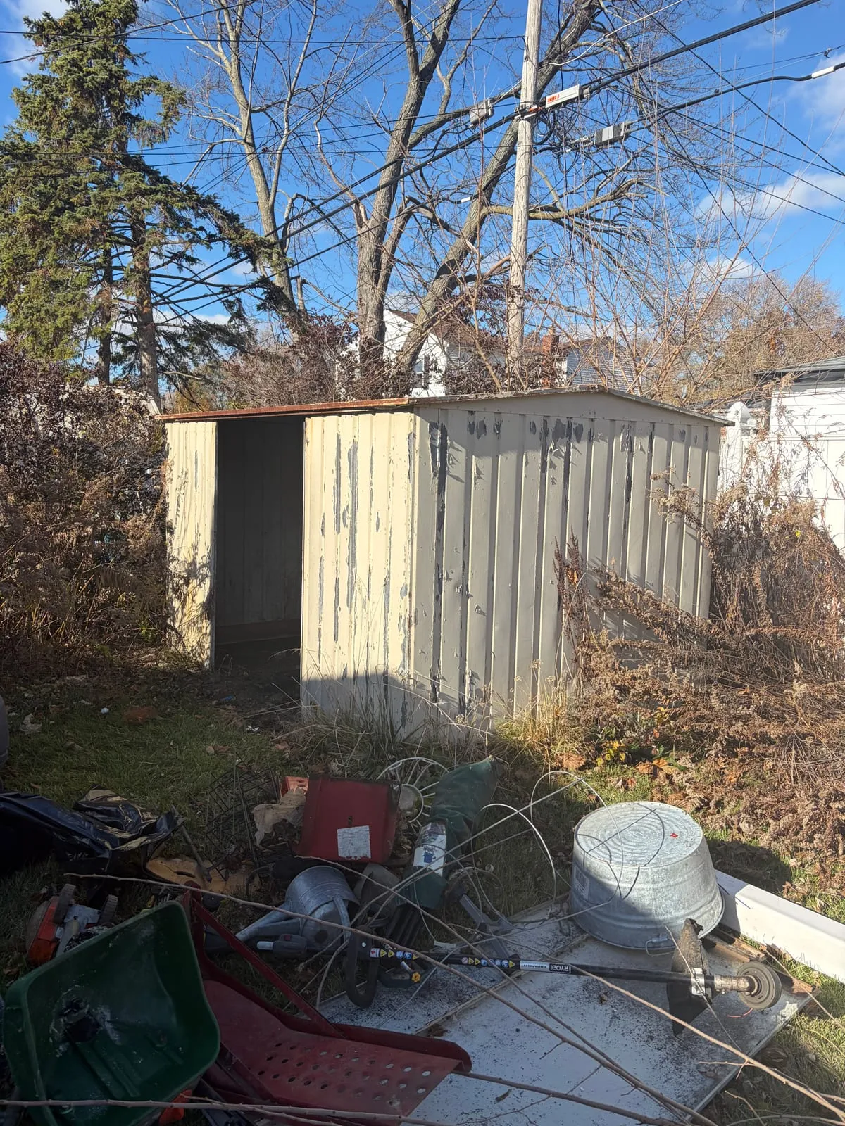 Metal shed surrounded by junk in an overgrown Metro Detroit backyard
