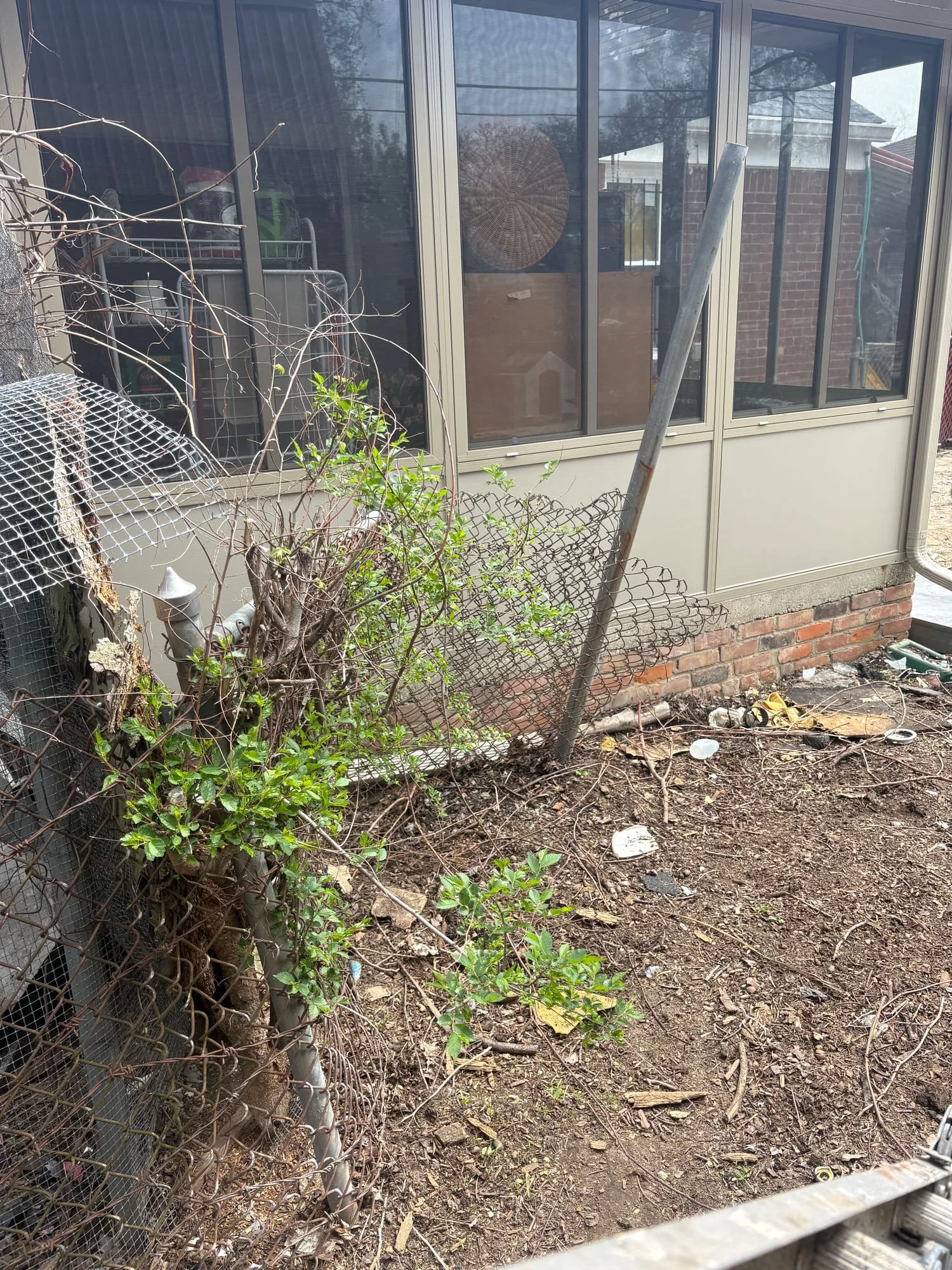 Overgrown fence line with weeds and yard debris before brush removal